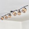 Ramila ceiling light black, 6-light sources