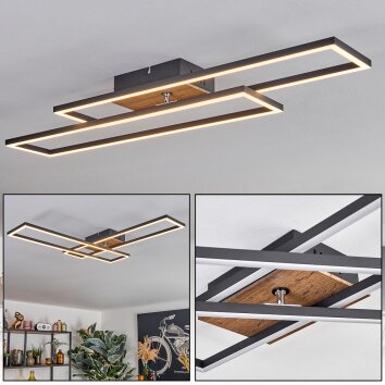 Macos ceiling light, ceiling spotlight LED brown, Wood like finish, black, 1-light source