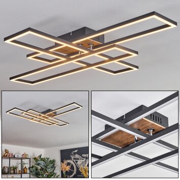 Macos ceiling light, ceiling spotlight LED brown, Wood like finish, black, 1-light source