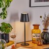 Salgadinho table lamp LED black, 1-light source