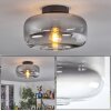 Boza ceiling light clear, Smoke-coloured, 1-light source