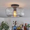 Boza ceiling light clear, 1-light source