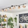 Cavaca ceiling light black, 6-light sources