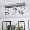 Lomma ceiling light brushed steel, 3-light sources