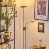 Antra floor lamp LED matt nickel, 1-light source