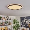 Endrup ceiling light LED black, 1-light source