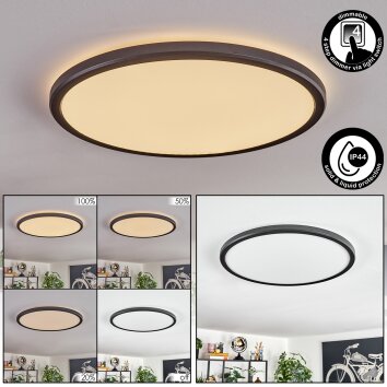 Endrup ceiling light LED black, 1-light source