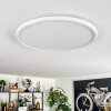 Endrup ceiling light LED white, 1-light source