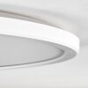 Endrup ceiling light LED white, 1-light source