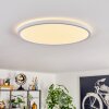 Endrup ceiling light LED white, 1-light source