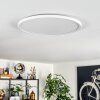 Endrup ceiling light LED white, 1-light source