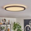 Endrup ceiling light LED black, 1-light source