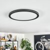 Endrup ceiling light LED black, 1-light source