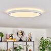 Endrup ceiling light LED white, 1-light source