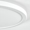 Endrup ceiling light LED white, 1-light source