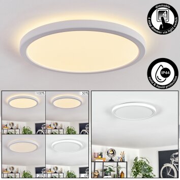 Endrup ceiling light LED white, 1-light source