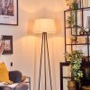 Bassagoda floor lamp beige, 1-light source