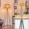 Ramila floor lamp Ecru, black, 1-light source