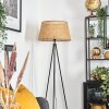 Barcos floor lamp beige, Ecru, 1-light source