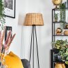 Cavaca floor lamp beige, 1-light source