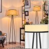 Chellas floor lamp beige, black, 1-light source