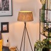 Granja floor lamp beige, 1-light source