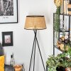 Ramila floor lamp Ecru, black, 1-light source