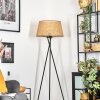 Barcos floor lamp beige, Ecru, 1-light source