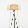 Barcos floor lamp beige, Ecru, 1-light source