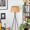 Barcos floor lamp beige, Ecru, 1-light source