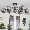 Gastor ceiling light Smoke-coloured, 12-light sources