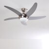 Ceiling Fan Morino matt nickel, silver, 2-light sources, Remote control