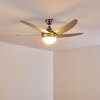 Ceiling Fan Morino matt nickel, silver, 2-light sources, Remote control