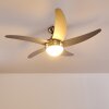 Ceiling Fan Morino matt nickel, silver, 2-light sources, Remote control