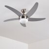 Ceiling Fan Morino matt nickel, silver, 2-light sources, Remote control