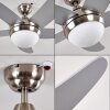 Ceiling Fan Morino matt nickel, silver, 2-light sources, Remote control