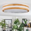 Sofo ceiling light LED white, 1-light source, Remote control