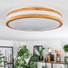 Sofo ceiling light LED white, 1-light source, Remote control