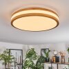 Sofo ceiling light LED white, 1-light source, Remote control