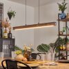 Carbellino pendant light LED white, 1-light source