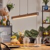 Carbellino pendant light LED white, 1-light source