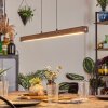 Carbellino pendant light LED dark brown, black, 1-light source