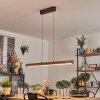 Carbellino pendant light LED dark brown, black, 1-light source