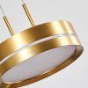 Dingersjo hanging light, pendant light LED brass, 3-light sources