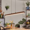 Carbellino pendant light LED dark brown, black, 1-light source