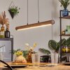 Carbellino pendant light LED dark brown, black, 1-light source