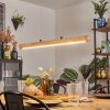 Carbellino pendant light LED Ecru, black, 1-light source