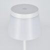 Algeraz Outdoor table lamp, table lamp LED white, 1-light source