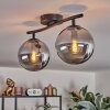 Gastor ceiling light Smoke-coloured, 2-light sources