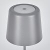 Belece Outdoor table lamp, table lamp LED grey, 1-light source